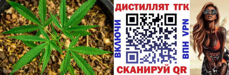 закладка  Копейск  Дистиллят ТГК THC oil 