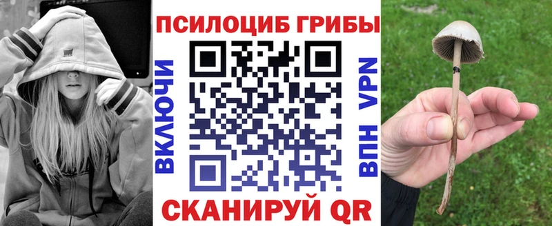 Галлюциногенные грибы Psilocybe купить цена Копейск